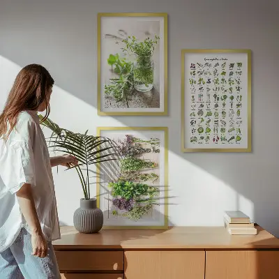 Set di 3 quadri con erbe aromatiche essiccate per la cucina