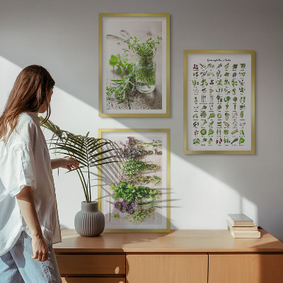 Set di 3 quadri Erbe aromatiche essiccate per la cucina