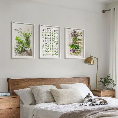 Set di 3 quadri con erbe aromatiche essiccate per la cucina