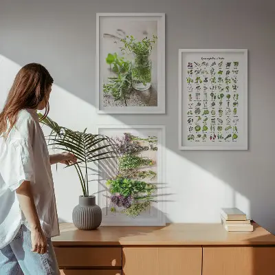 Set di 3 quadri con erbe aromatiche essiccate per la cucina
