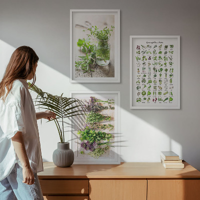Set di 3 quadri Erbe aromatiche essiccate per la cucina