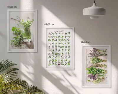 Set di 3 quadri con erbe aromatiche essiccate per la cucina