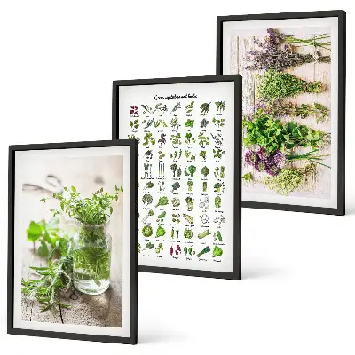 Set di 3 quadri con erbe aromatiche essiccate per la cucina