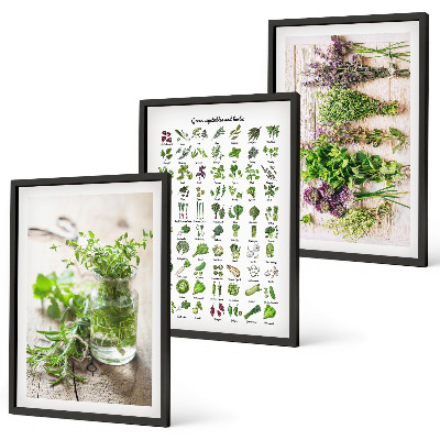 Set di 3 quadri Erbe aromatiche essiccate per la cucina