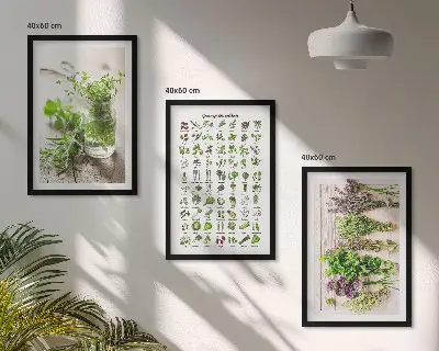 Set di 3 quadri con erbe aromatiche essiccate per la cucina