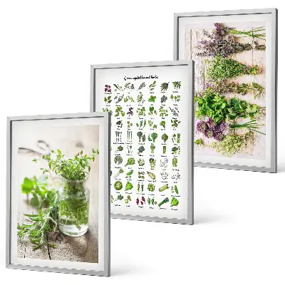 Set di 3 quadri con erbe aromatiche essiccate per la cucina