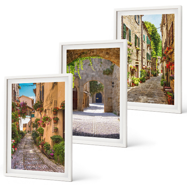 Set di 3 quadri strade italiane fiori architettura