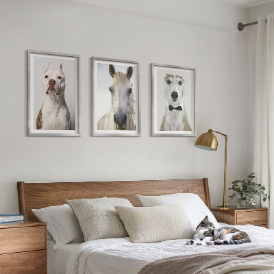 Composizione di quadri Ritratti di cani e cavalli elegantemente