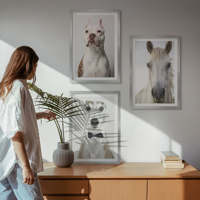 Composizione di quadri Ritratti di cani e cavalli elegantemente