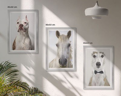Composizione di quadri Ritratti di cani e cavalli elegantemente