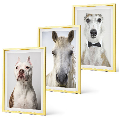 Composizione di quadri Ritratti di cani e cavalli elegantemente