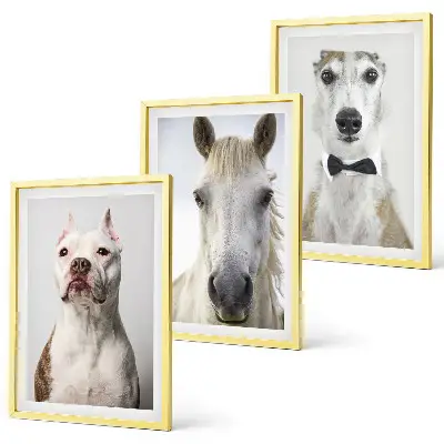 Composizione di quadri ritratti di cani e cavalli in stile elegante