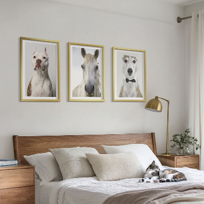 Composizione di quadri Ritratti di cani e cavalli elegantemente