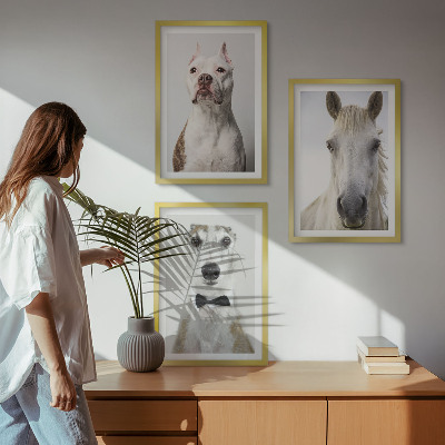 Composizione di quadri Ritratti di cani e cavalli elegantemente