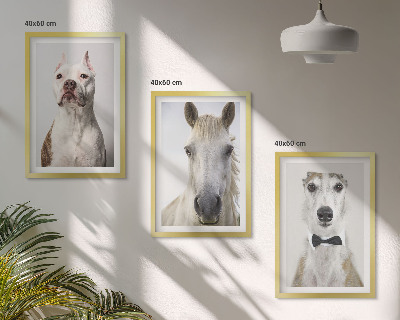 Composizione di quadri Ritratti di cani e cavalli elegantemente