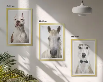 Composizione di quadri ritratti di cani e cavalli in stile elegante