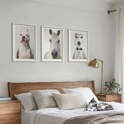 Composizione di quadri Ritratti di cani e cavalli elegantemente