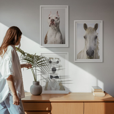 Composizione di quadri Ritratti di cani e cavalli elegantemente