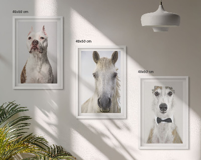 Composizione di quadri Ritratti di cani e cavalli elegantemente