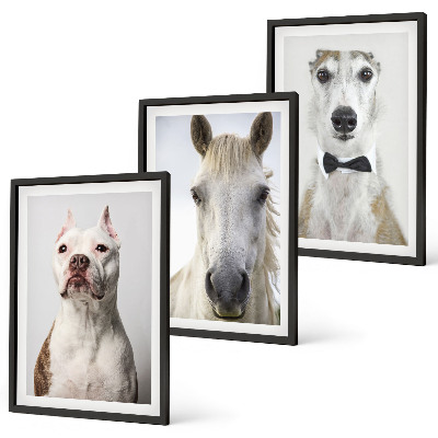 Composizione di quadri Ritratti di cani e cavalli elegantemente