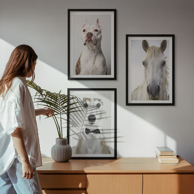Composizione di quadri Ritratti di cani e cavalli elegantemente