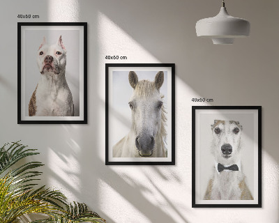 Composizione di quadri Ritratti di cani e cavalli elegantemente
