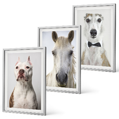 Composizione di quadri Ritratti di cani e cavalli elegantemente