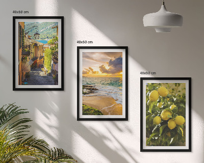Set di 3 quadri Strade, mare, spiaggia, alberi di agrumi
