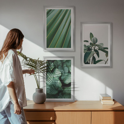 Composizione di quadri Foglie tropicali estetiche