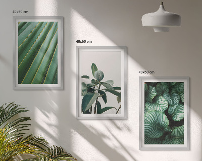 Composizione di quadri Foglie tropicali estetiche