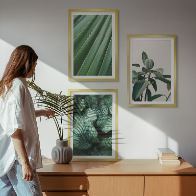 Composizione di quadri Foglie tropicali estetiche