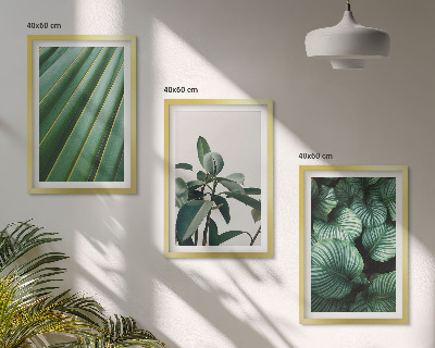 Composizione di quadri Foglie tropicali estetiche