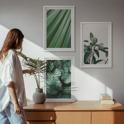Composizione di quadri Foglie tropicali estetiche