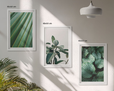 Composizione di quadri Foglie tropicali estetiche