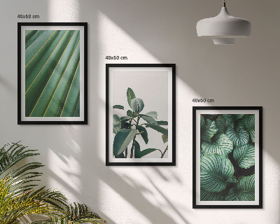 Composizione di quadri Foglie tropicali estetiche