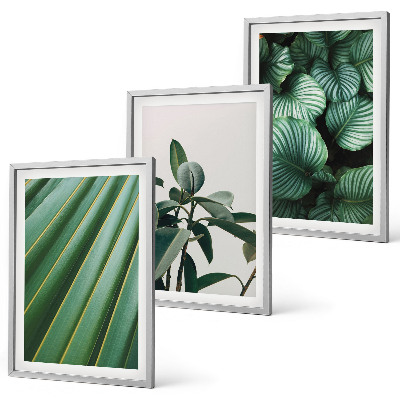 Composizione di quadri Foglie tropicali estetiche