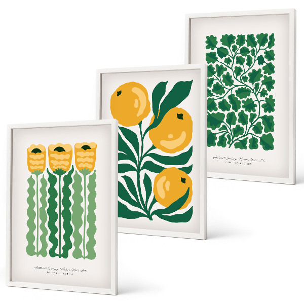 Set di quadri incorniciati Modelli di piante fiori foglie