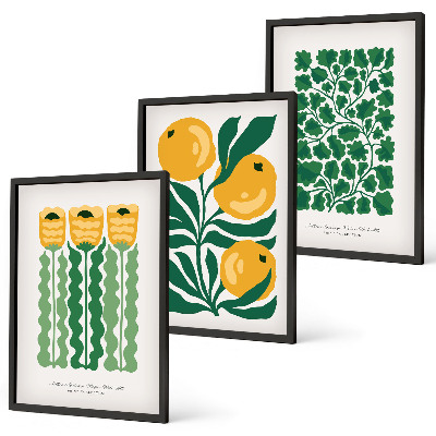 Set di quadri incorniciati Modelli di piante fiori foglie