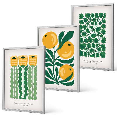 Set di quadri incorniciati Modelli di piante fiori foglie