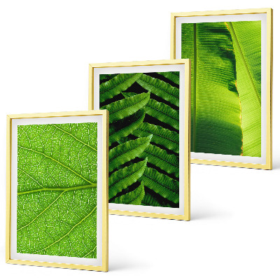 Set di quadri incorniciati macrofotografia di foglie tropicali
