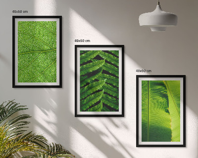 Set di quadri incorniciati macrofotografia di foglie tropicali