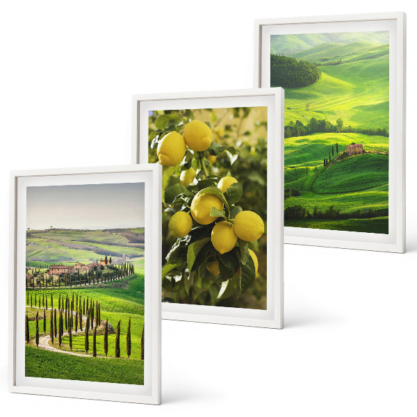 Set di quadri incorniciati Agrumeti e colline italiane