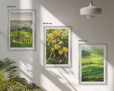 Set di quadri incorniciati Agrumeti e colline italiane