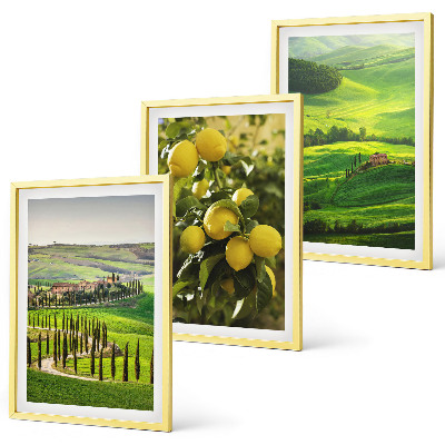 Set di quadri incorniciati Agrumeti e colline italiane