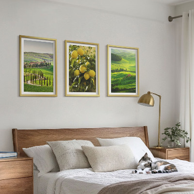 Set di quadri incorniciati Agrumeti e colline italiane