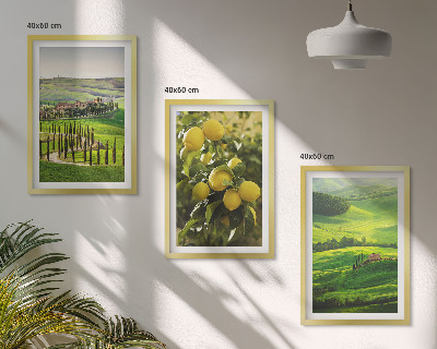 Set di quadri incorniciati Agrumeti e colline italiane