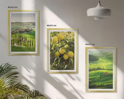Set di quadri incorniciati con stampa di agrumeti e colline italiane