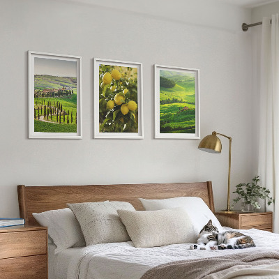 Set di quadri incorniciati Agrumeti e colline italiane