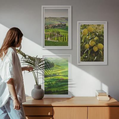 Set di quadri incorniciati Agrumeti e colline italiane