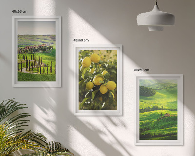 Set di quadri incorniciati Agrumeti e colline italiane